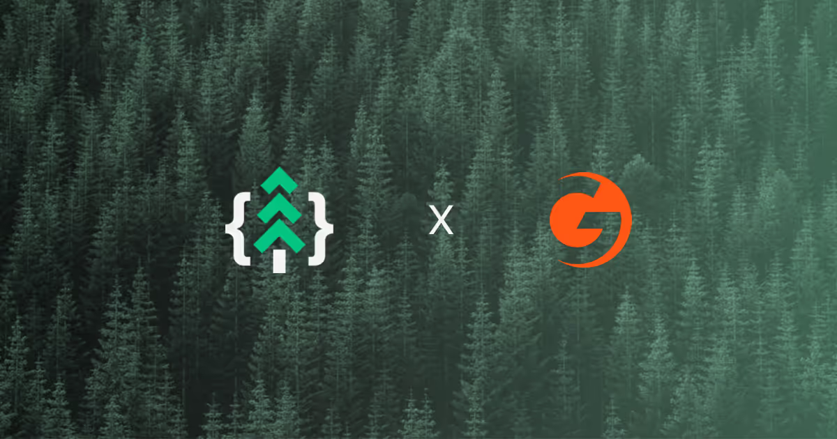 Zukunftssichere DDoS-Abwehr: Die Partnerschaft zwischen dataforest und Gcore