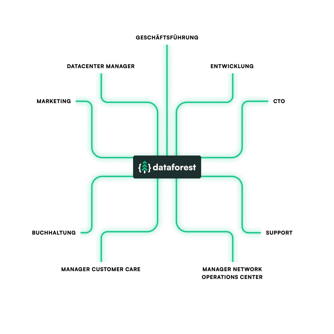 Dataforest team organization chart